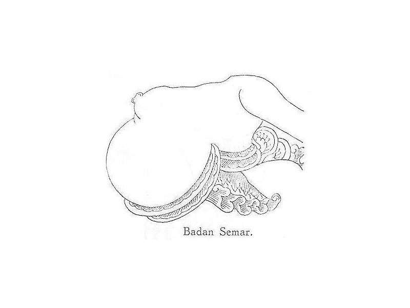 -sulardi-badan semar